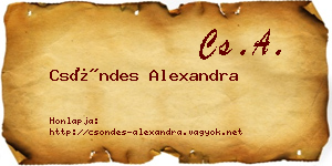 Csöndes Alexandra névjegykártya