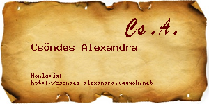 Csöndes Alexandra névjegykártya
